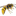 Favicon van eerstehulpbijwespen.nl