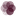 Favicon van ellensomsen.nl