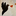 Favicon van elsvegter.com