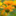 Favicon van elvirawerkman.nl
