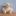Favicon van enjoyspeelgoed.nl