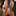Favicon van enzokok.nl