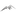 Favicon van epicgear.nl