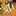 Favicon van ervopro.nl