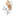 Favicon van esterbertholet.com