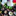 Favicon van etenschappernanja.nl