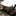 Favicon van evy.nl