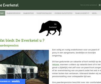 http://www.everketel.nl