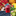 Favicon van exotice.nl