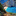 Favicon van experiencenubia.com