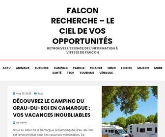 FALCON recherche & Advies