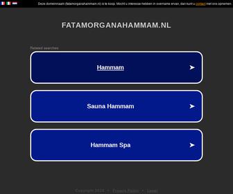 http://www.fatamorganahammam.nl