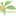 Favicon van felicious.nl