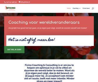 Ficino Consulting & Coaching