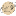 Favicon van Floorarium.nl