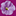 Favicon van flowerandshower.nl