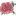 Favicon van flowerfairy.nl