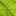 Favicon van flowerroom55.nl