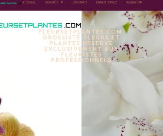http://fleursetplantes.com