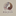 Favicon van focuzplus.nl