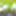 Favicon van forallpromotions.nl