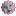 Favicon van fotojes.nl