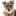 Favicon van foxys-trimsalon.nl