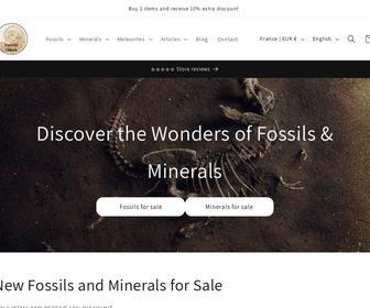 Fossils And More