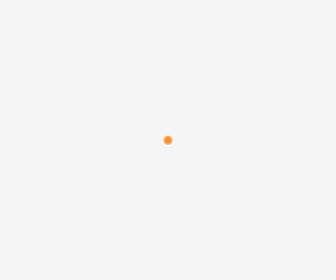 Fox Group / DomeinHosting247