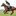 Favicon van fysio-osteo-paard.nl