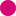Favicon van fysiopointdruten.nl