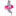 Favicon van fysiotherapiezoetermeer.net