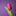 Favicon van galficonsulting.com