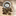 Favicon van gaaien-frutsels.nl