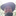 Favicon van gabmirdogservices.nl