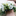Favicon van gaiabloemdesign.nl