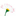 Favicon van gastoudermadelief-zeewolde.nl