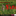 Favicon van gastouderopvangnana.nl