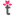 Favicon van gebloemt.nl