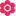 Favicon van geelwitjes.nl