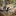 Favicon van gidstepaardopdeveluwe.com