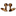 Favicon van giraffa.net