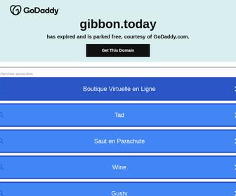 GIBBON International B.V.
