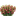 Favicon van gmblumen.de
