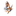 Favicon van gochme.nl