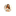 Favicon van goudendriehoek.com