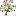 Favicon van grammateas.nl