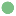 Favicon voor greenpointsolutions.nl