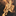Favicon van grietjewillemsma.nl