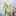 Favicon van groenevrijdag.com